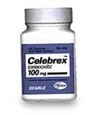 The blockbuster arthritis drugs Vioxx and Celebrex have had the most successful product launches in pharmaceutical history. The $3-a-day pills together generate $6 billion in annual sales, spurred by the hope that users may be spared the ulcers that older painkillers can cause.